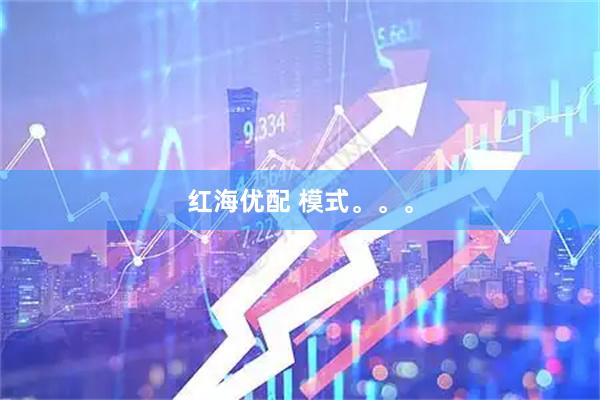 红海优配 模式。。。