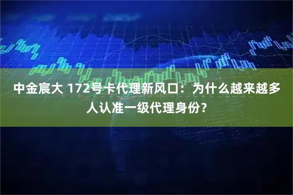 中金宸大 172号卡代理新风口：为什么越来越多人认准一级代理身份？