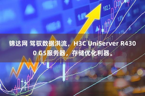 锦达网 驾驭数据洪流，H3C UniServer R4300 G5服务器，存储优化利器。