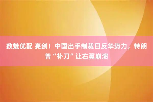 数魅优配 亮剑！中国出手制裁日反华势力，特朗普“补刀”让右翼崩溃