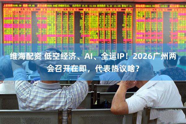 维海配资 低空经济、AI、全运IP！2026广州两会召开在即，代表热议啥？